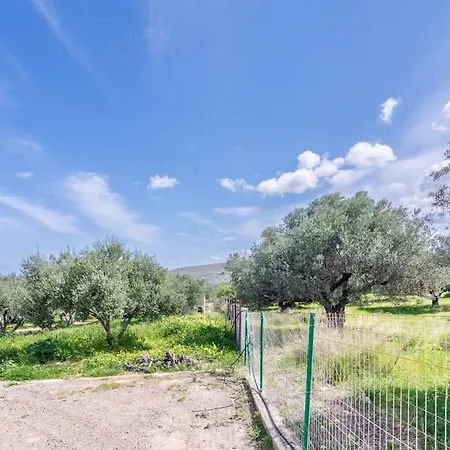 Close To The * Elia (Crete)